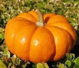 今日最强的瓜,揭秘娱乐圈最新劲爆事件！