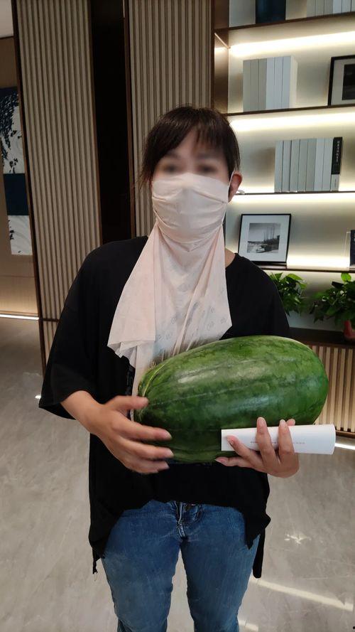 今日大瓜 视频,揭秘娱乐圈最新热点事件