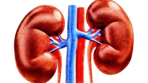 肾结石能吃黑瓜吗女性怎么吃,肾结石患者女性食用黑瓜的适宜方法与注意事项