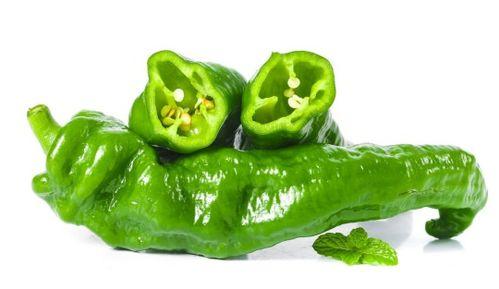 瓠瓜今日价格,今日市场行情一览”