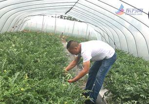 今日热瓜上海,聚焦城市焦点事件，解码都市生活百态