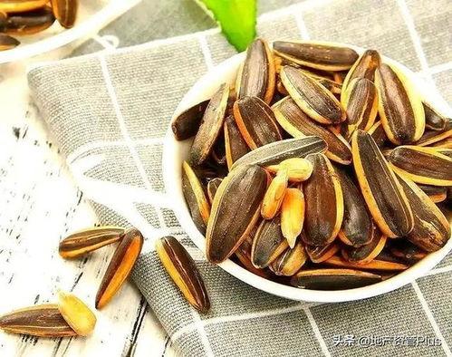今日瓜的瓜子,瓜子里的秘密大揭秘