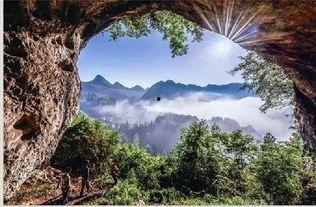 森林公园热门瓜,探寻森林公园里的夏日热门瓜果盛宴