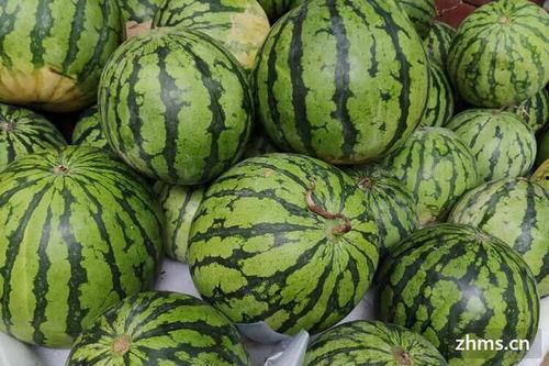 麒麟瓜大黑籽可以吃吗,揭秘可食用之谜