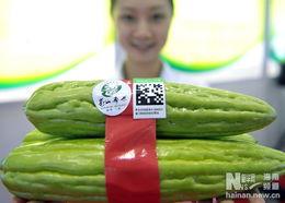 海口今日瓜菜价,市民菜篮子成本几何？