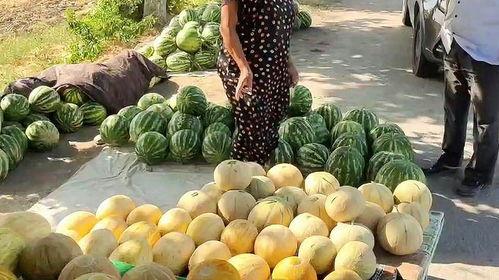 51今日吃瓜热门吃瓜,揭秘热门吃瓜事件背后的真相