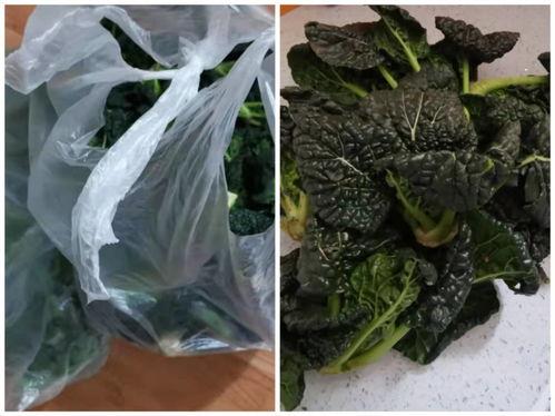 过年吃的黑籽瓜有哪些,盘点过年必吃的黑籽瓜美食