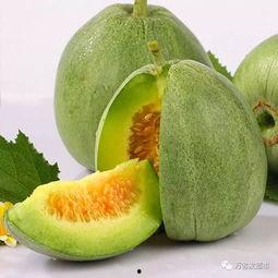 今日绿瓜价格,市场行情一览