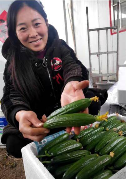 今日绿瓜价格,市场行情一览