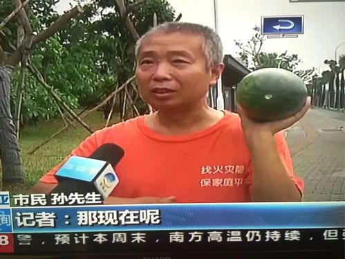 吃瓜热门事件网,吃瓜热门事件背后的真相与反思