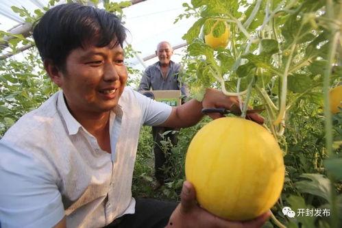 开封今日瓜价,新鲜瓜果价格一览