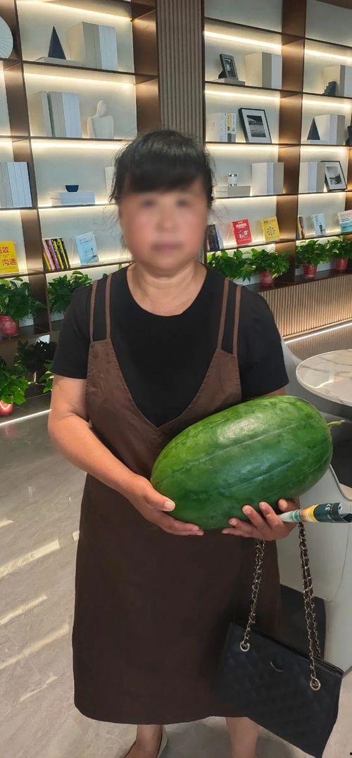 今日有瓜么,揭秘今日瓜田，一网打尽新鲜资讯