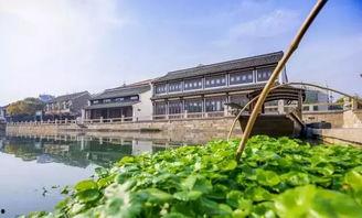 高碑店瓜今日行情