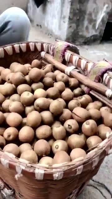 今日摘瓜文案,瓜熟蒂落，收获满满幸福时光