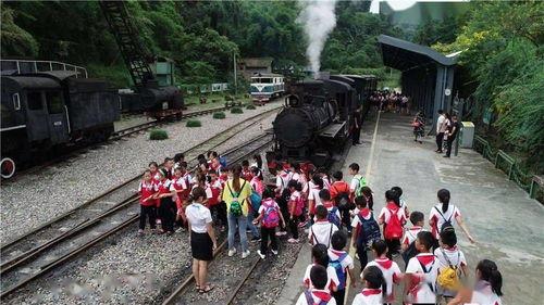 吃瓜黑网爆料线路一,吃瓜黑网爆料背后的真相与内幕
