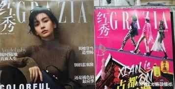 明星网红秀英文