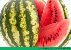 51吃瓜热门吃瓜每日大瓜,揭秘热门吃瓜每日大瓜，带你领略娱乐圈风云变幻