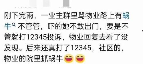 网络爆料吃瓜热门吃瓜 绿帽,揭秘网络热门吃瓜事件背后的真相