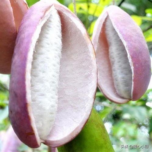 热门八月瓜,揭秘夏日里的神秘果实