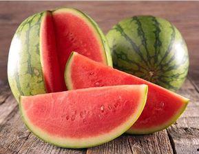 今日小圆瓜价格,市场行情一览”