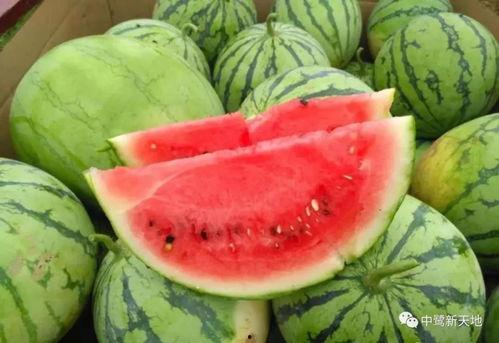 今日吃瓜图文,揭秘娱乐圈最新热点事件