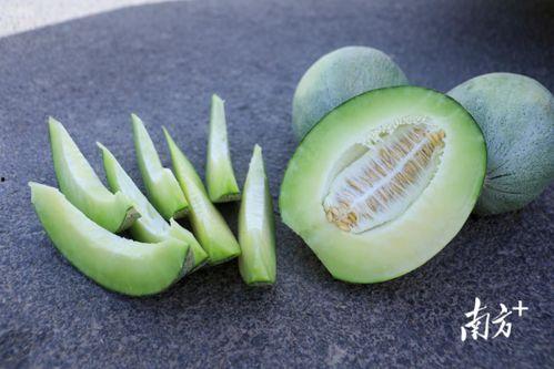 今日大瓜吃瓜网站,揭秘娱乐圈最新热点事件