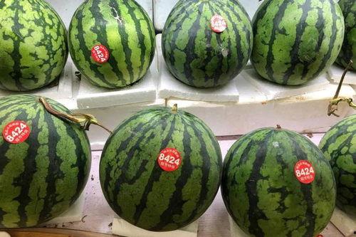 吃瓜51今日吃瓜,今日热点事件大盘点