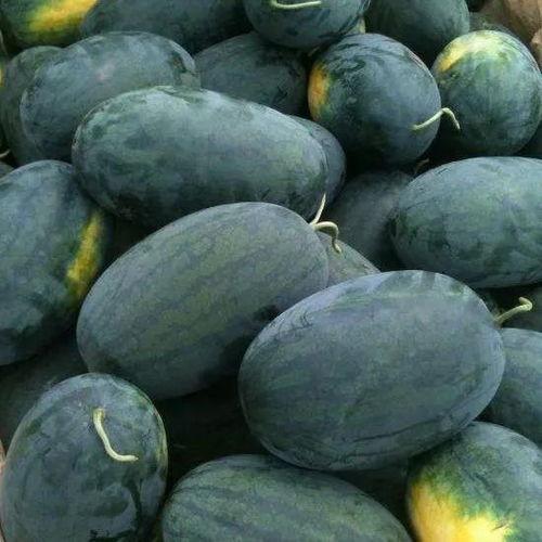 黑瓜吃料入口在哪里买,揭秘热门美食购买攻略