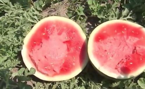 世界各地吃瓜爆料,揭秘热点事件背后的真相