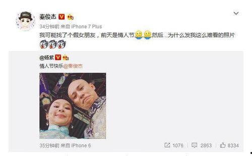 明星网红单身文案,揭秘明星们的单身生活态度