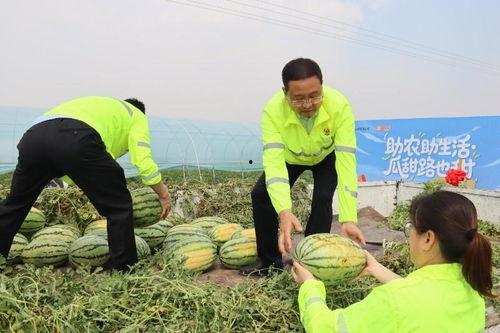 今日瓜坡新闻,聚焦今日热点事件与社区动态