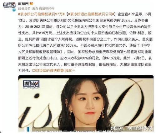 明星网红偷税图片,图片曝光引发社会关注