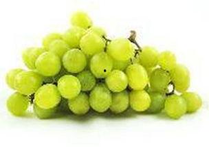 今日黄河瓜价格,市场行情实时解析”