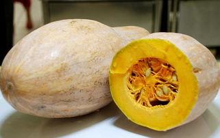 癌症可以吃黑蜜瓜吗女性,女性癌症患者饮食中的健康之选