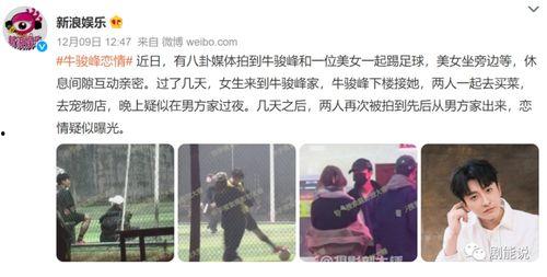 瓜姐爆料今日猜瓜,今日猜瓜大揭秘，揭秘娱乐圈最新热点