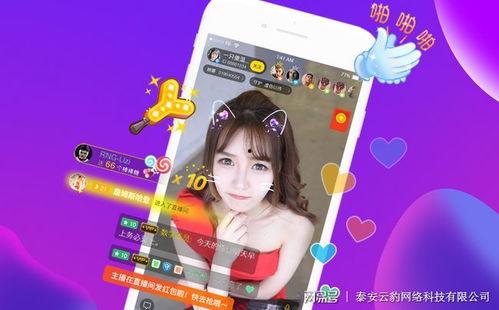 娱乐吃瓜爆料直播视频