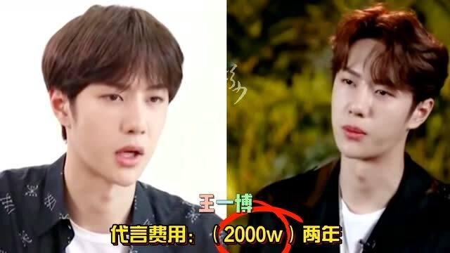 明星网红代言文案,明星网红效应下的品牌代言新潮流