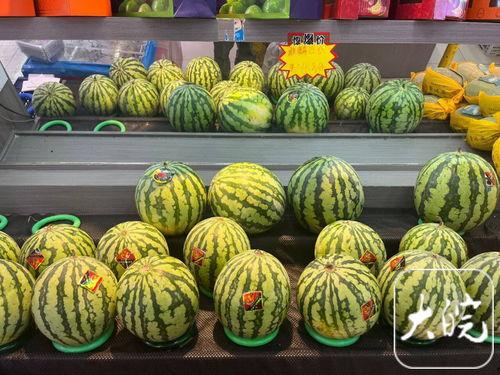 合肥今日瓜价,夏日炎炎，水果市场行情一览
