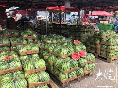 合肥今日瓜价,夏日炎炎，水果市场行情一览