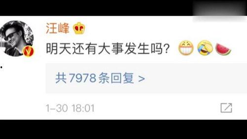 吃瓜娱乐圈文字版下载,揭秘热门事件幕后真相