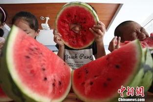 瓜姐今日吃瓜扬州,扬州美食之旅