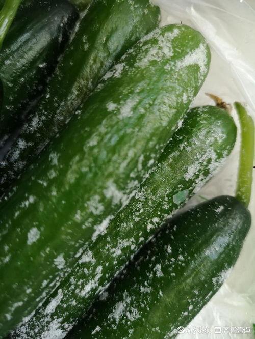 白沟今日什么瓜,揭秘最新热点事件背后的真相