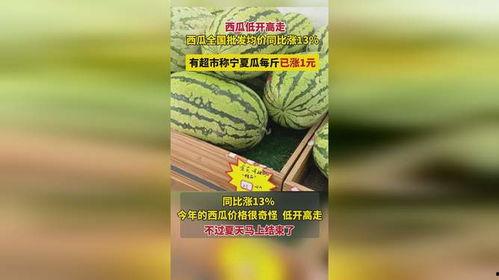 今日宁夏瓜价格