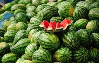 崖城今日瓜价格,新鲜上市，价格实惠，快来抢购！