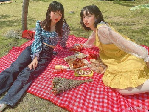 明星网红野餐图片