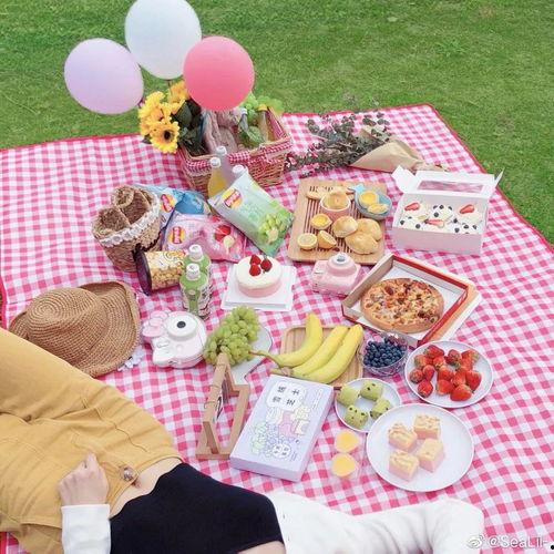 明星网红野餐图片