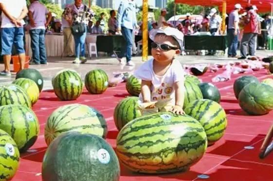 今日吃瓜大赛,瓜界风云再起，谁将笑傲江湖？