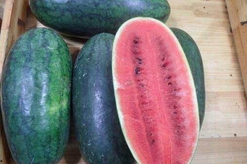 黑科大学校吃瓜视频,揭秘校园生活幕后趣事