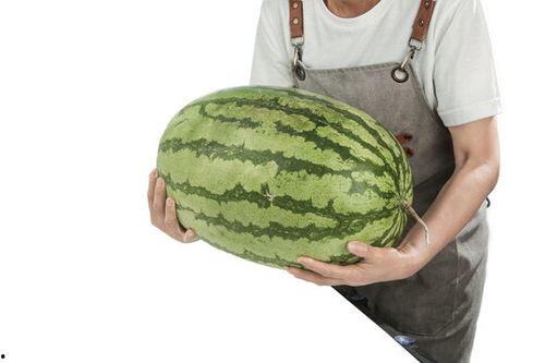 石头瓜今日行情,涨跌波动，市场动态一览