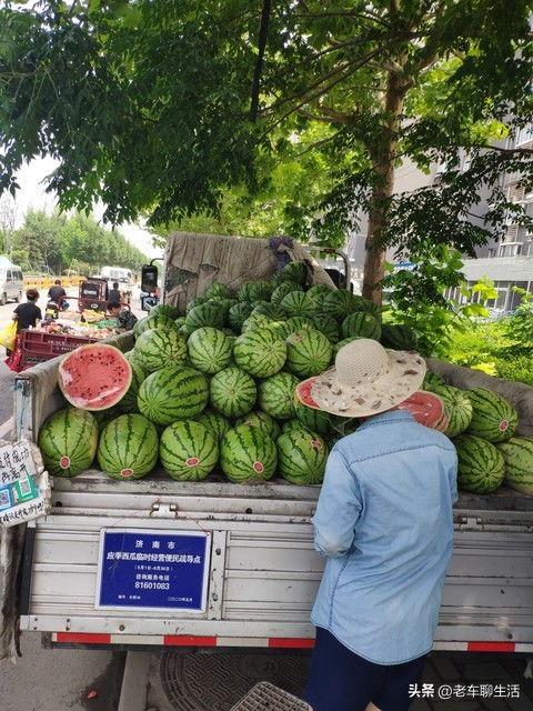 石头瓜今日行情,涨跌波动，市场动态一览